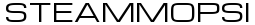 steam-mops